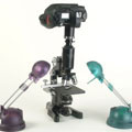 microphotography