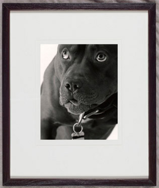 Framing fo Photographers